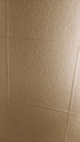 Белая, штампованная потолочная плитка из пенопласта, на потолок, "Париж 2", 10 кв.м., 40 шт. #5, Елена Н.