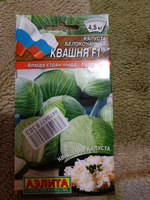 Капуста белокочанная Квашня, универсальная #59, Катюшка Г.