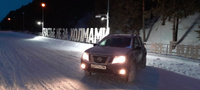 Зимняя заглушка решетки радиатора (верхняя) Nissan Terrano 2014-н.в. #31, Ксения В.