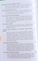 Одолень трава. Рим Ахмедов | Ахмедов Рим Билалович #3, Нестерова Наталья