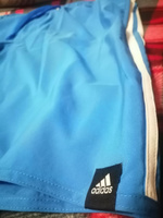Шорты для плавания adidas Classic-Length 3-Stripes Swim Shorts, 1 шт #7, Владимир Ш.