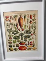 POSTERMARKT Постер "Овощи", 50 см х 40 см #3, Елена К.