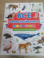 Первая детская энциклопедия Всё о животных фермы малышам #5, Ирина К.