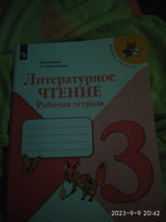 Литературное чтение 3 класс. Рабочая тетрадь. УМК "Школа России" | Бойкина Марина Викторовна, Виноградская Людмила Андреевна #6, Олег Б.