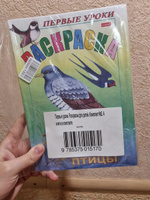 Первые уроки. Раскраски для детей. Комплект №2. 4 книги в комплекте #28, Диана С.