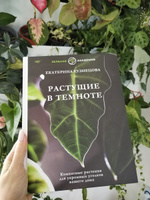 Растущие в темноте. Комнатные растения для укромных уголков вашего дома | Кузнецова Екатерина Александровна #1, Зарина Н.