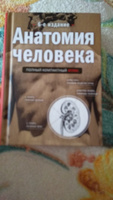 Анатомия человека: полный компактный атлас. 6-е издание | Боянович Юрий Владимирович #6, Светлана М.