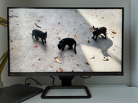 BenQ 27" Монитор EW2780U, черный #8, Алексей З.