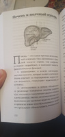 Возлюби болезнь свою, новое дополненное издание, 2й том "Энциклопедия психосоматики" (мягкий переплет, карманный формат) | Синельников Валерий Владимирович #6, Ильфат Я.