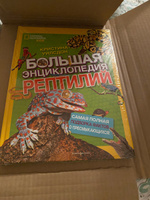 Ящерицы. Великолепная десятка | Лукашевич Михаил #1, Руслан М.