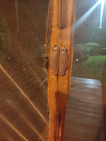 Дверная москитная сетка на магнитах АllianceMarket 100х210 см (коричневая) #6, Марина В.