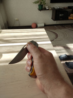 Нож складной универсальный FORESTER MOBILE с клипсой, 20,5см #8, Андрей К.