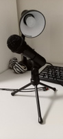Микрофон RITMIX RDM-120 Black #7, Данир К.