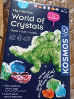Набор для опытов по выращиванию кристаллов Таинственный мир кристаллов #1, Надежда Р.