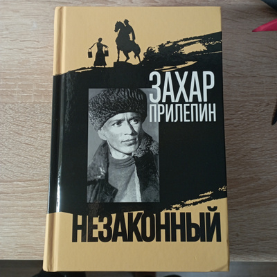 Шолохов незаконный. Прилепин шолохов. Прилепин шолохов. Прилепин шолохов. Прилепин о шолохове книга.