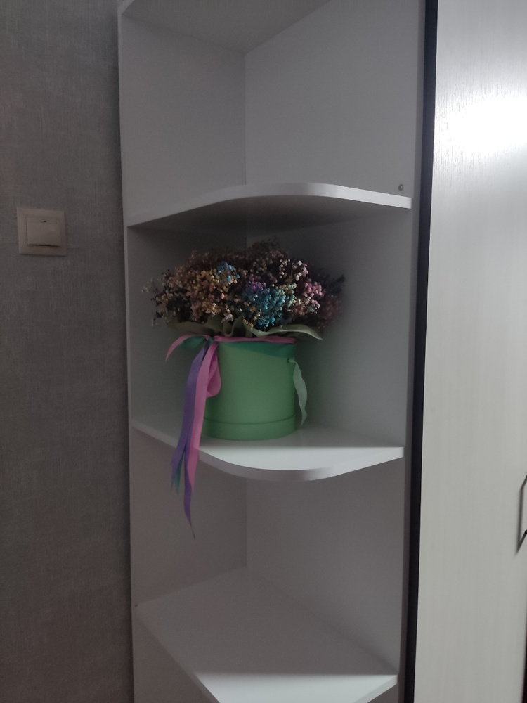 Стеллаж Угловое окончание к распашным шкафам, 30х48х210 см, Профит-М ...