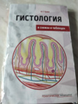 Гистология в схемах и таблицах: учебное пособие. Цветной атлас