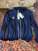 Олимпийка adidas Ent22 Tk Jkt #26, Алексей Я.