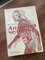 Анатомия человека. Учебник | Козлов Валентин Иванович #1, Дарья Ш.