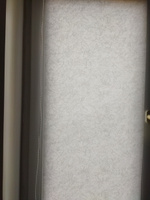 Рулонные шторы Интерьер Групп Айс светло-серый на пластиковые окна 46х180 см #2, Анастасия М.