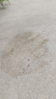Упрочняющая, гидрофобная и обеспыливающая пропитка 5л для бетона, цементно-песчаных стяжек #7, Александра Ф.