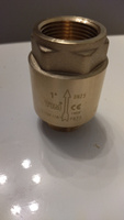 Обратный клапан с металлическим штоком с уплотнительным кольцом для скважинного насоса 1" внутренняя - наружная, TIM арт. JH-1012A #4, Евгений М.