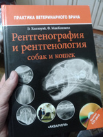 Рентгенография и рентгенология собак и кошек #1, Александр Б.