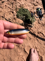 Блесна для рыбалки колебалка незацепляйка RAPALA Minnow Spoon 07 цвет SD 7 см. - 15 гр приманка #20, Александр С.