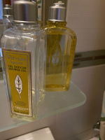 Шампунь для волос "Вербена" для частого применения Verveine Agrumes, L'Occitane En Provence, 250 мл #6, Валерия Н.