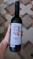 Вино безалкогольное красное Vina'0 Merlot 750 мл, Франция #15, Александр