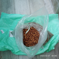 Скорлупа кедрового ореха 3 кг из самого сердца Алтая . Урожай 2022 года!!! #4, Маргарита