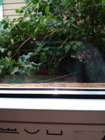 Окно ПВХ РЕХАУ, высота 1000 х ширина 800 мм, профиль REHAU, одностворчатое, глухое, мультифункциональный стеклопакет, белое #13, Тоня К.