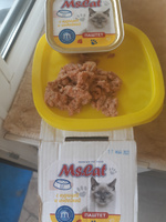 Мясные консервы для кошек Ms.Cat Паштет с курицей и индейкой, 100 гр. *15 шт #6, Маргарита Ц.