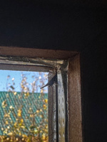 Окно(форточка) 40*50 из лиственных пород дерева, термированное, петли слева #7, Евгений П.