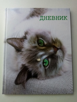 Дневник школьный для 5-11 класса "Кошка", твёрдая обложка, глянцевая ламинация, 48 листов #31, Ирина И.