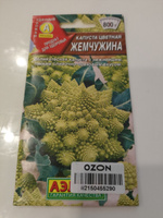 Капуста цветная Жемчужина деликатесная #109, Алина О.