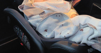 Автокресло поворотное для малыша Nuovita Maczione N0123I-1L детское, удерживающее, автомобильное, на сиденье, креплением Isofix и якорным ремнем Top Tether. #7, Камилла г.