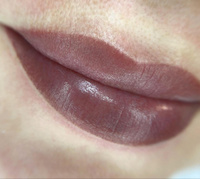 FACE Organic Love Шейк Пигмент для татуажа перманентного макияжа губ, 6мл #81, Ирина И.
