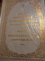 Акафист молитвенный ко Господу Спасителю во ослабу душевной скорби. Акафист всемогущему Богу в нашествии печали (крупный шрифт) #1, Лариса Г.