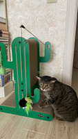 Когтеточка лежанка напольная для игры Petree Cactus S, для кошек #8, Анастасия Б.