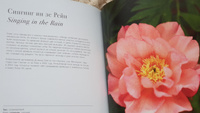 Пионы  Роскошные цветы для дома и сада. | Исто Джейн, Лэйн Джорджианна #2, Marina