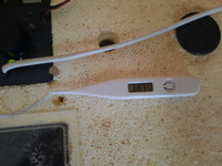 Термометр электронный для инкубатора 2 штуки #4, Вера С.
