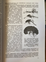 О построении движений | Бернштейн Николай Александрович #3, Елена, детский психолог