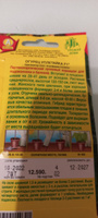 Огурец Уплетайка пучковый корнишон для балкона и подоконника #57, НЕЛЛИ К.