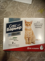 Секс Барьер для Кошек