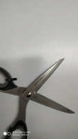 Ножницы швейные PREMAX Omnia Line В 6572 (20 см / 8") с прорезиненной ручкой #6, Мария С.