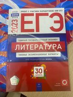 ЕГЭ-2025. Литература: типовые экзаменационные варианты: 30 вариантов #3, Фатимат Р.