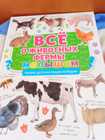 Первая детская энциклопедия Всё о животных фермы малышам #4, Ольга Д.