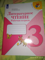 Литературное чтение 3 класс. Рабочая тетрадь. УМК "Школа России" | Бойкина Марина Викторовна, Виноградская Людмила Андреевна #4, Олег Б.