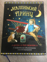 Маленький принц с подробными объяснениями и иллюстрациями | Сент-Экзюпери Антуан де #6, Ольга З.